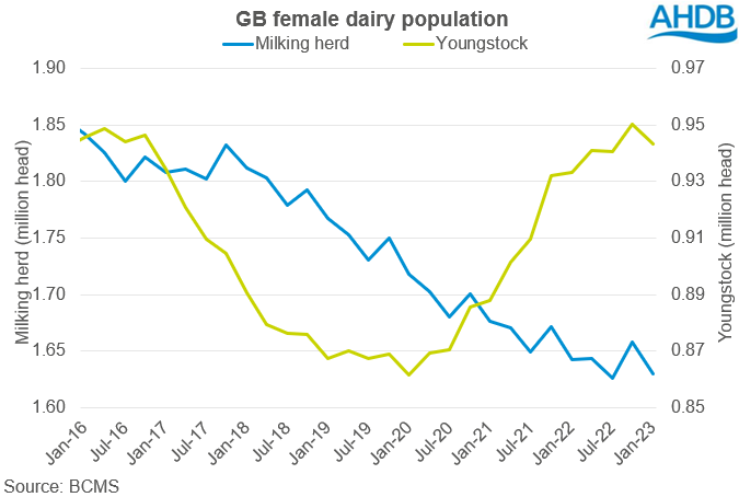 Graph showing GB female dairy population